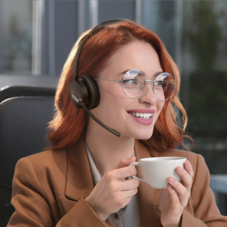 Headsets & Accessories